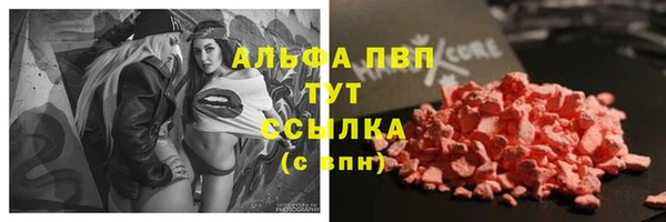 стафф Михайлов