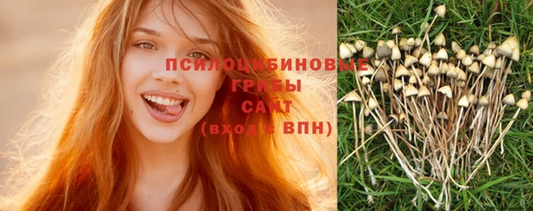стафф Михайлов