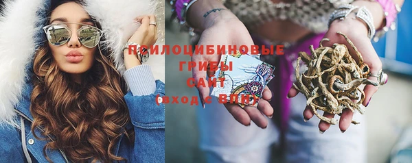 стафф Михайлов