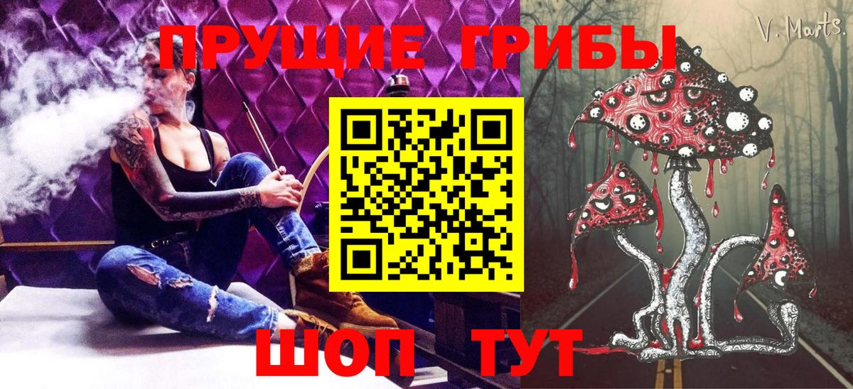 Галлюциногенные грибы Cubensis  Семилуки  наркошоп  Псилоцибиновые грибы Psilocybine cubensis 