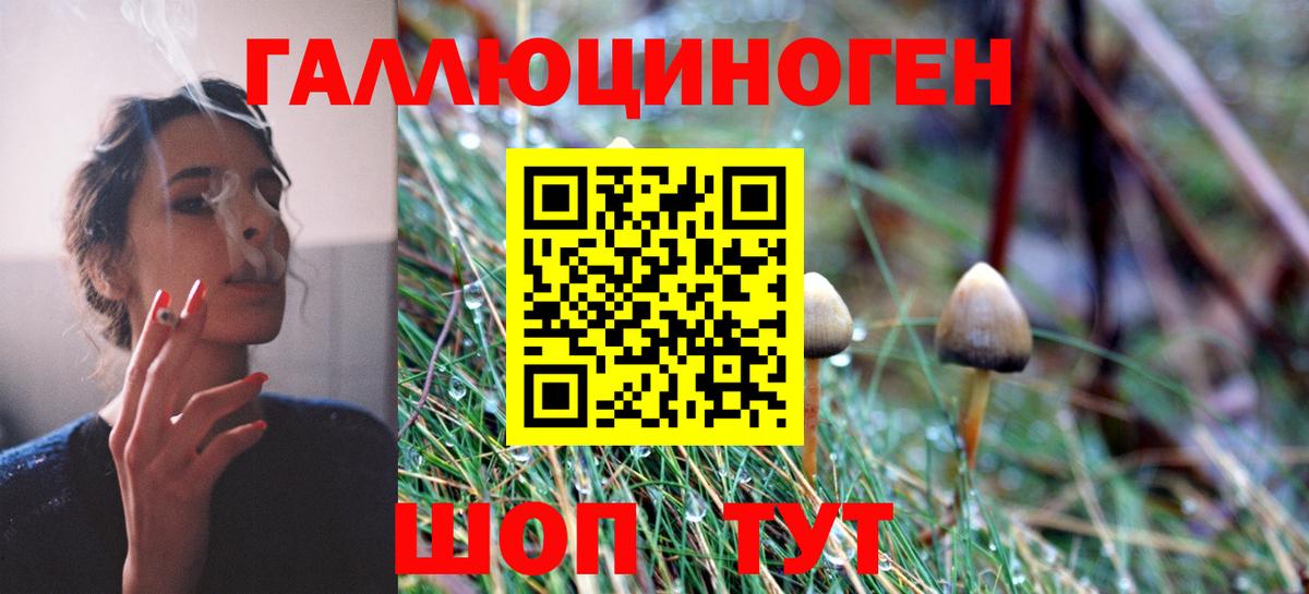 Семилуки  Псилоцибиновые грибы MAGIC MUSHROOMS  Псилоцибиновые грибы Magic Shrooms  Вход с VPN 