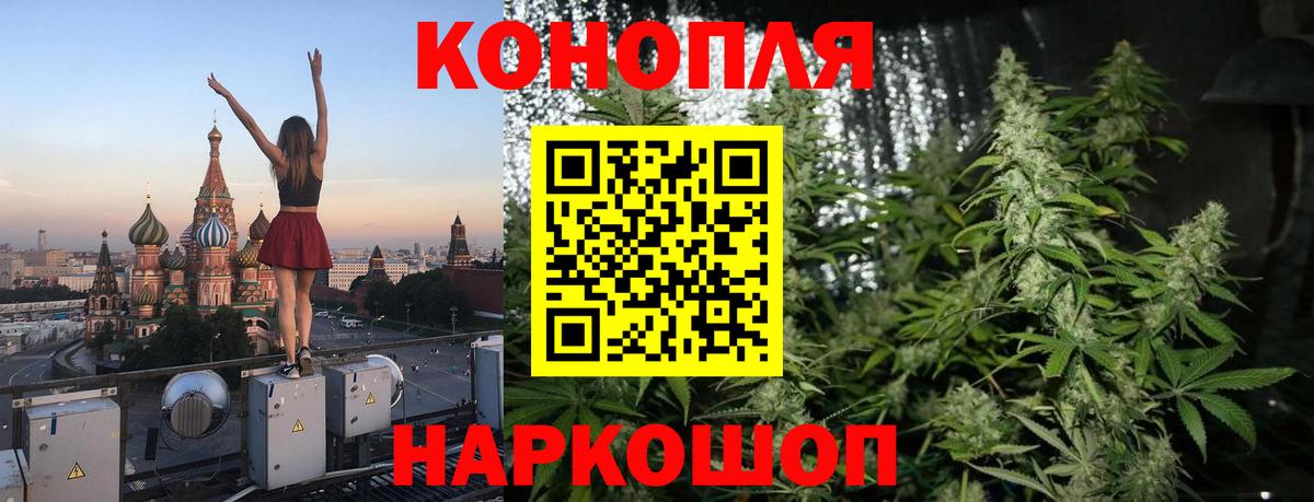 Бошки марихуана White Widow  Семилуки  МАРИХУАНА планчик  Бошки Шишки марихуана  Шишки марихуана марихуана 